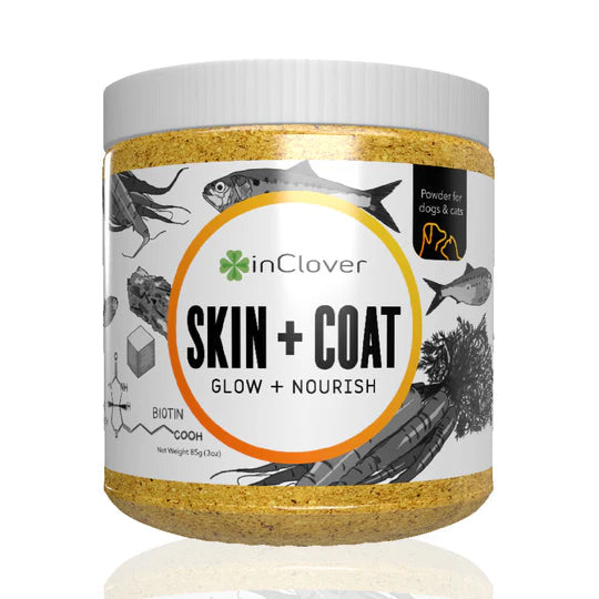 InClover Skin + Coat Supplement for Dogs & Cats 85g – Metro Pet Unleashed