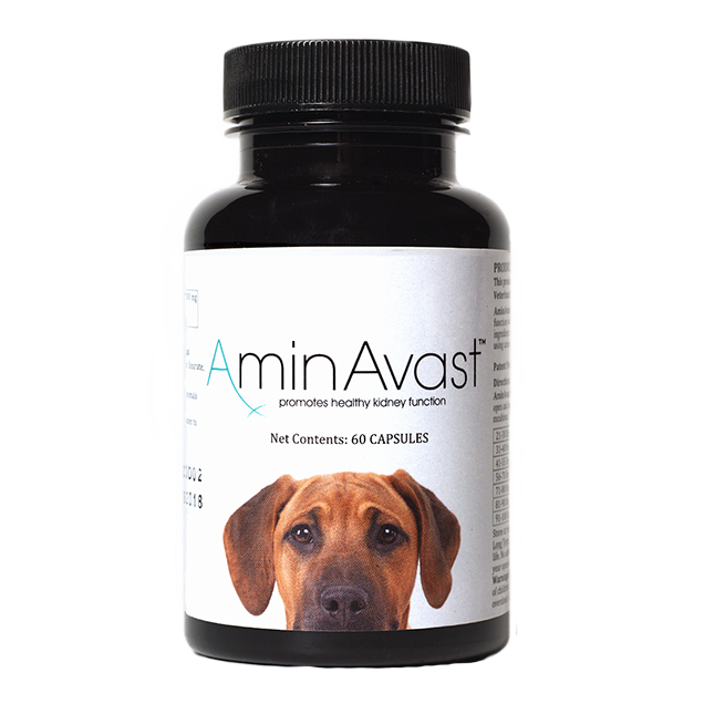 AminAvast 犬用サプリメント 60カプセル、2ボトル AminAvast for Dogs 60 Capsules – Metro Pet Unleashed
