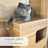 4 Cats & Dogs -  Clifford Cat Tree Bookshelf - *Special Order*