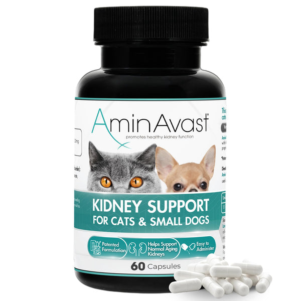 AminAvast for Cats 60 Capsules
