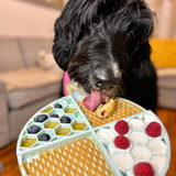 Bark Bistro Pumpkin Pup Buddy Budder