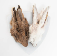 Grand Valley Pet Rabbit Head 2-pack