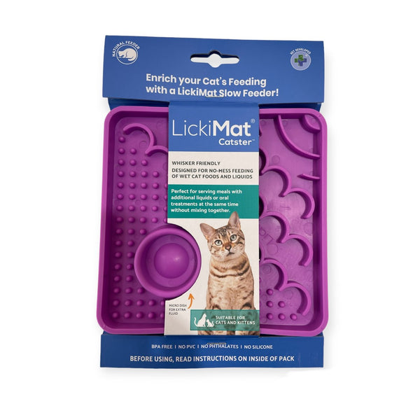 Wet Food Puzzles for Cats - Catster