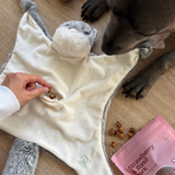 Lunoji Flying Squirrel