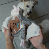 Lunoji Flying Squirrel