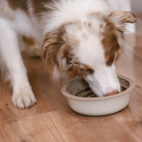 Lunoji Zen Spiral Silicone Slow Feeder