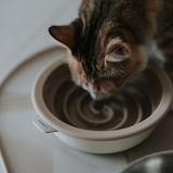 Lunoji Zen Spiral Silicone Slow Feeder