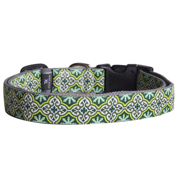 Molly Mutt Collar *Clearance*