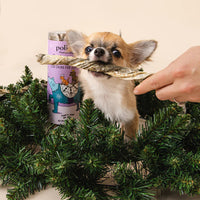 Polkadog Holiday Tube: Silver & Gold 2.5oz