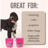 Polkadog Wonder Nuggets Turkey & Cranberry