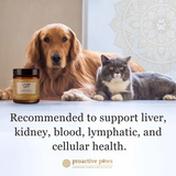 Proactive Paws Liver Lift - Daily Detox 45g