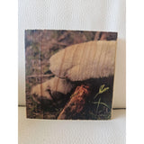 RC Wood Art Large *Clearance*
