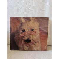 RC Wood Art Large *Clearance*