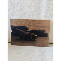RC Wood Art Large *Clearance*