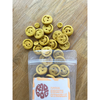 Rad Dog Pumpkin Biscuits 200g