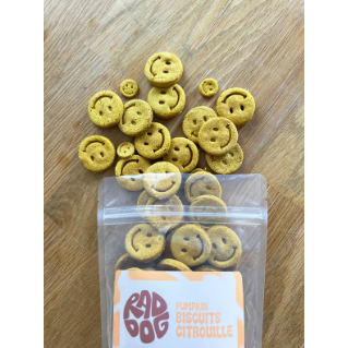 Rad Dog Pumpkin Biscuits 200g