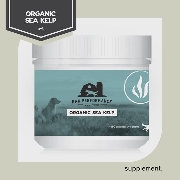 Raw Performance Organic Sea Kelp 340g