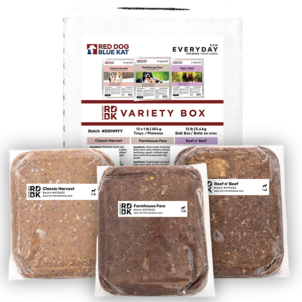 Red Dog Blue Kat Everyday Raw Variety 12-12x1lb