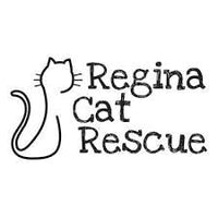 Regina Cat Rescue Calendar 2025