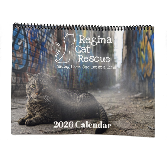Regina Cat Rescue Calendar 2026