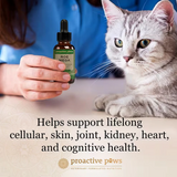 Proactive Paws Roe Mega for Cats 30ml