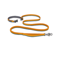 Ruffwear Roamer Bungee Dog Leash