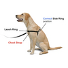 ST SENSE-ation Harness Mini  7/16" **Clearance**