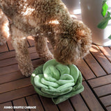 Snuffle Cabbage Nosework Toy