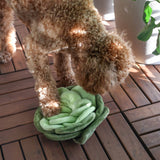 Snuffle Cabbage Nosework Toy