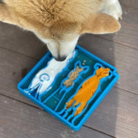 SodaPup Enrichment Tray Waiting Dogs