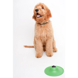 Stashios Soothing Saucer