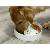 The Puzzle Feeder Lick Bowl