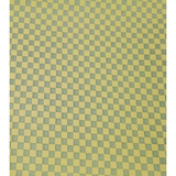 Triple Threads Leash Flashcheck Green 5 ft