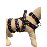 Triple Threads Leash Stellar Bounce 5 ft