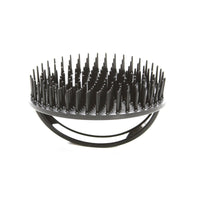 Bass Brush  Shampoo A26