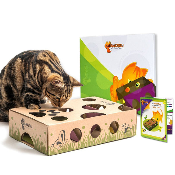 Cat Amazing Puzzle Box Classic
