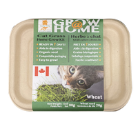 Lucky Kitty Grow @ Home Grass Kit