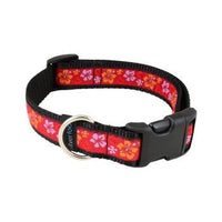 Metro Pet Market Dog Collar Medium 14-21"