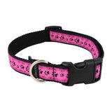 Metro Pet Market Dog Collar Medium 14-21"
