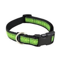 Metro Pet Market Dog Collar Medium 14-21"