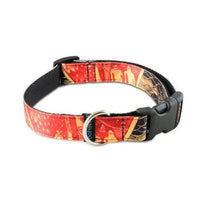 Metro Pet Market Dog Collar Medium 14-21"