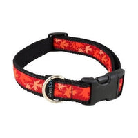 Metro Pet Market Dog Collar Medium 14-21"