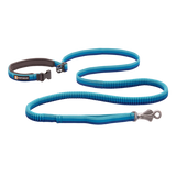 Ruffwear Roamer Bungee Dog Leash