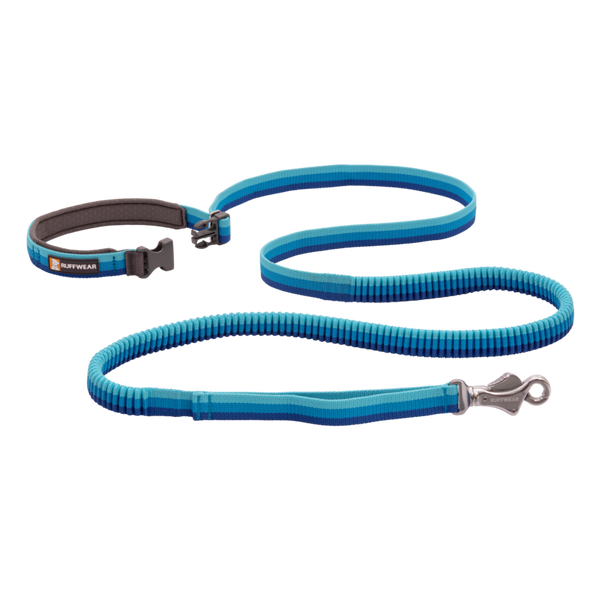 Bungee dog hot sale