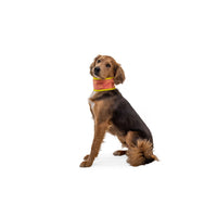 Ruffwear Swamp Cooler Neck Gaiter
