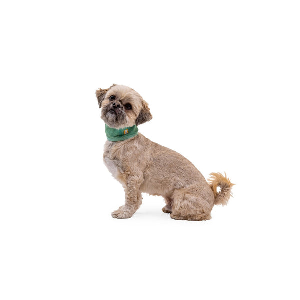 Neck gaiter for dogs sale