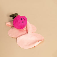 The Furryfolks Radish Nosework Toy